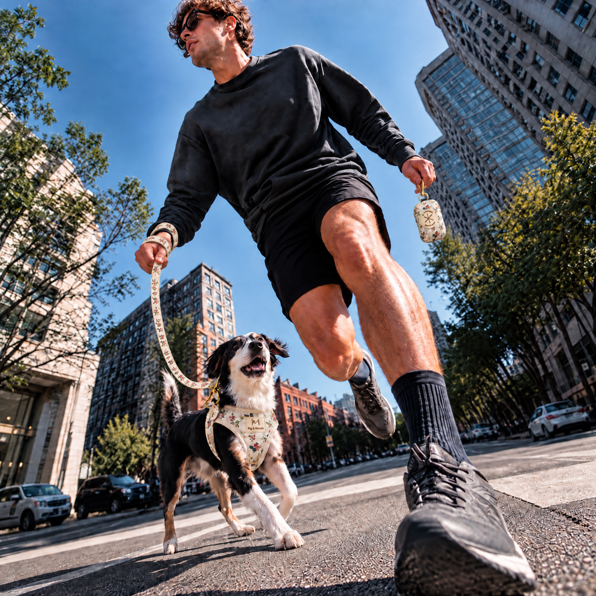 The Dog Leash: More Than Just Something You Hold
