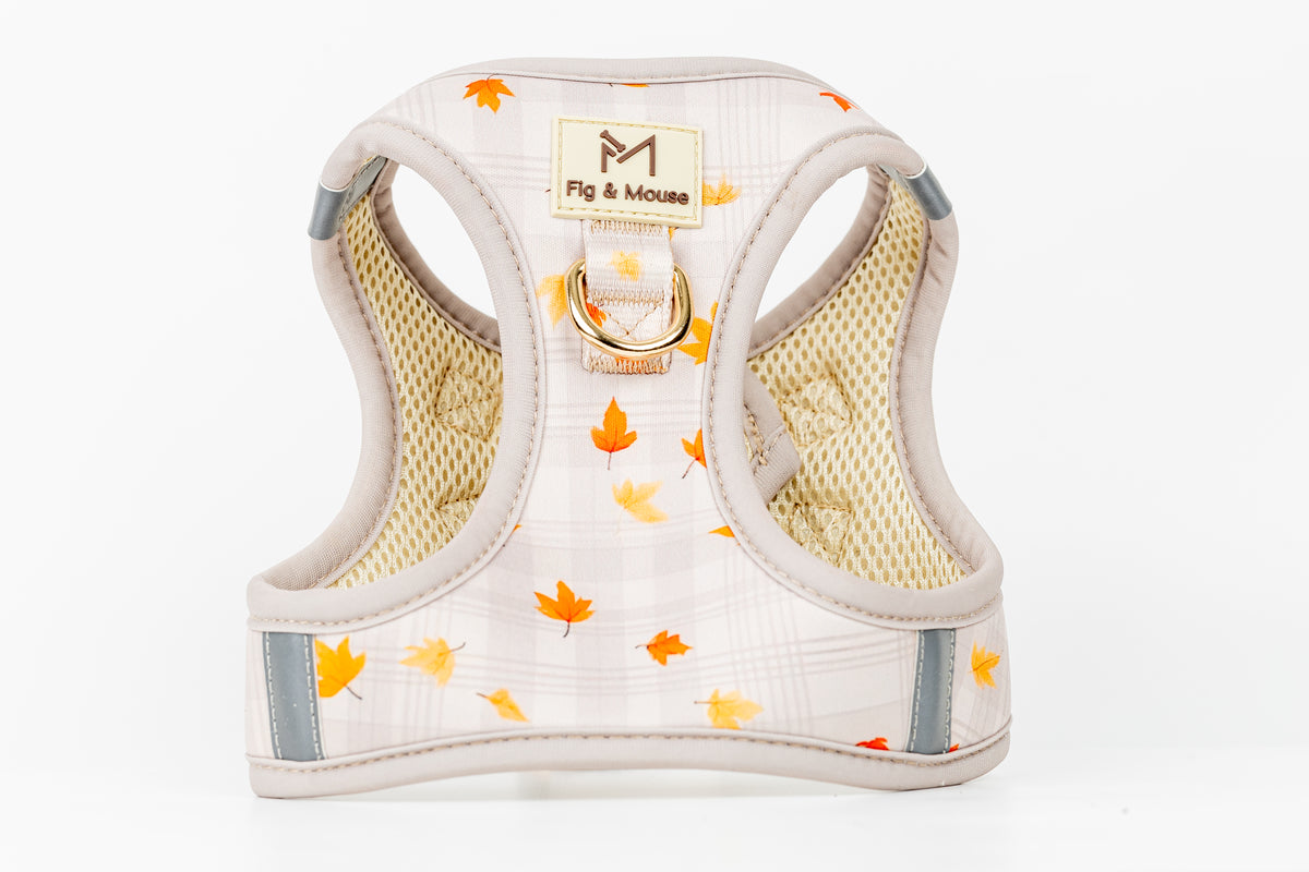Canopy Harness