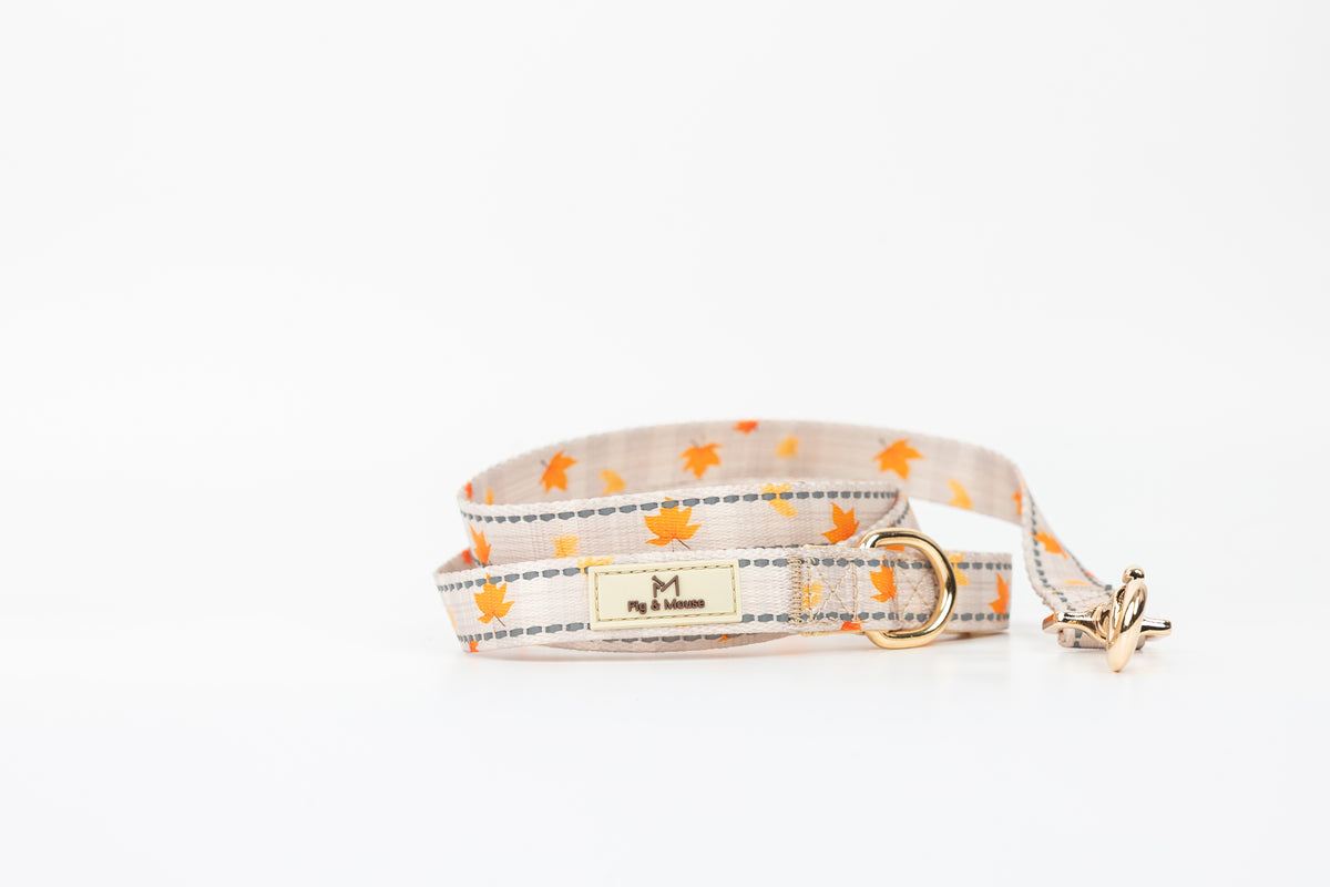 Canopy Leash