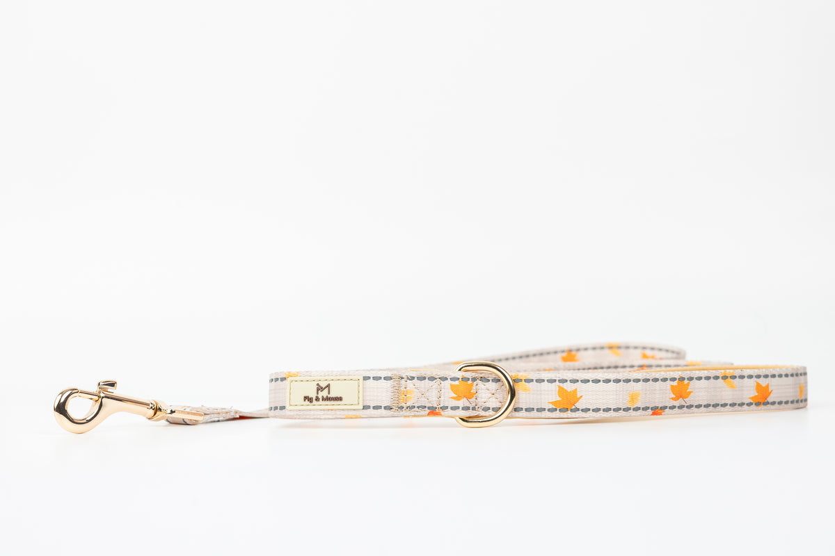 Canopy Leash