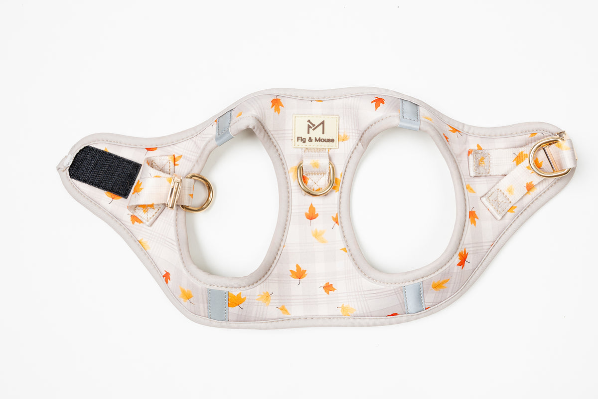 Canopy Harness